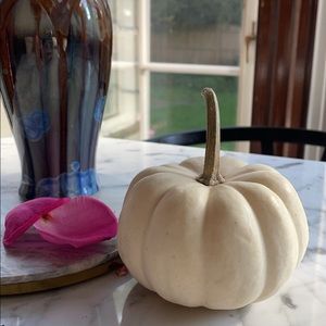 Meet your Posher, Mollie